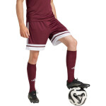 Šortky adidas Squadra 25 M JC8677 XL