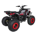 Mamido Detská benzínová štvorkolka RamiGO MONSTER 200CC čierno-červená