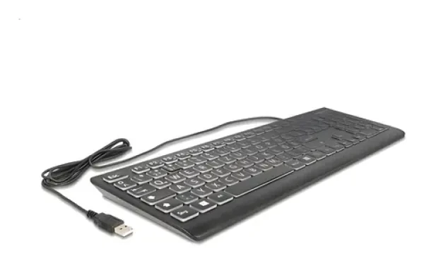 DeLock klávesnica XXL čierna / Klávesnica / Drôtová / Mechanická / RGB / Numpad / QWERTZ (12170)