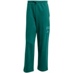 Nohavice adidas Collegiate M JM9178 L