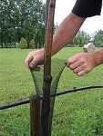Ochrana kmeňov proti obhryzu zverou (sieť) – Flexguard - ø 11 cm, dĺžka 110 cm, 6 kusov v balení