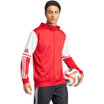 Mikina adidas Squadra 25 Hoody M JD2990 muži S
