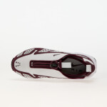 Tenisky Nike W Air Max SNDR Photon Dust/ Night Maroon-Black-White EUR 38.5