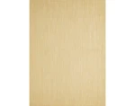 Vonkajší/vnútorný koberec Maestro 160x220 cm, béžový%