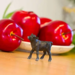 Safari Ltd. Safari Ltd. Angus teľa