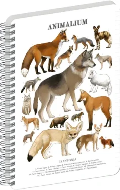 NOTIQUE Animalium Psovité šelmy / Špirálový blok / A5 / linajkový