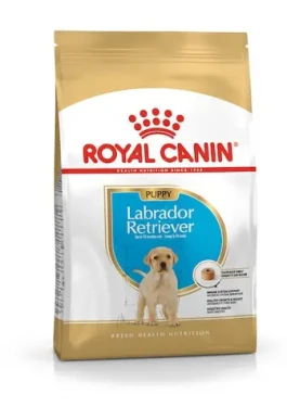 Royal Canin Puppy Labrador