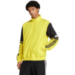 Mikina adidas Squadra 25 Presentation M JP3385 men XL