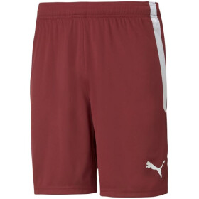 Šortky Puma teamLIGA M 704924 09 L
