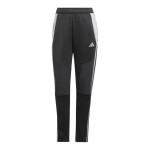 Nohavice adidas Tiro 24 Winter W IX7887 women L (173 cm)