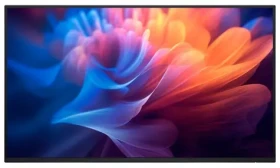 27" DELL P2725H čierna / IPS / 1920x1080 / 16:9 / 5ms / 1500:1 / 300cd-m2 / HDMI + DP + VGA / VESA / bez stojana (210-BMGD)