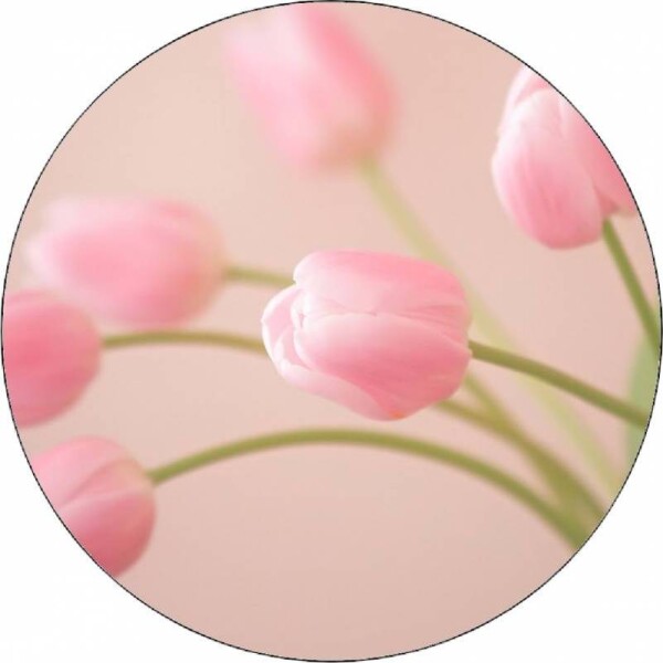 Jedlý papier – ružové tulipány, 19,5 cm - Pictu Hap