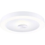 Paulmann 71179 Volea LED stropné svietidlo LED 4 W, 18.5 W biela, strieborná; 71179