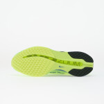 Tenisky Nike Pegasus Premium Volt Ice/ Black Spruce-Lime Blast EUR 43