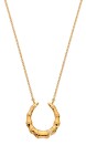 Hot Diamonds Elegantný pozlátený náhrdelník s diamantom Golden Edit Hope DN215