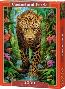 Castorland 200955 Leopard v divočine