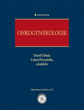 Onkogynekologie, Cibula David