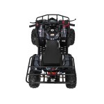 Mamido Detská benzínová štvorkolka RamiGO WILDPEAK 110CC čierna
