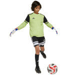 Adidas Squadra 25 Juniorské brankárske tričko s dlhým rukávom JJ1940 164 cm