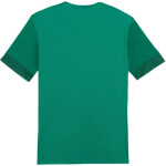 Puma teamGoal Matchday Jersey M 705747 05 muži XL