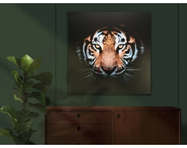Obraz na plátne Tigrie pohľad, 80x80 cm%
