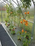 Oblúkový polykarbonátový skleník – Gardentec Standard Gardentec Standard PROFI (8 x 2,5 m)