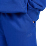 Nohavice 4F CAS M1245 Jr 4FJWAW25TTROM1245 36S 140 cm