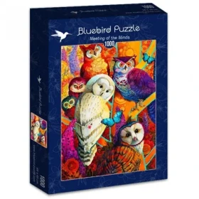 BlueBird Puzzle Stretnutie mysliteľov /1000 dielikov/ od 14 rokov