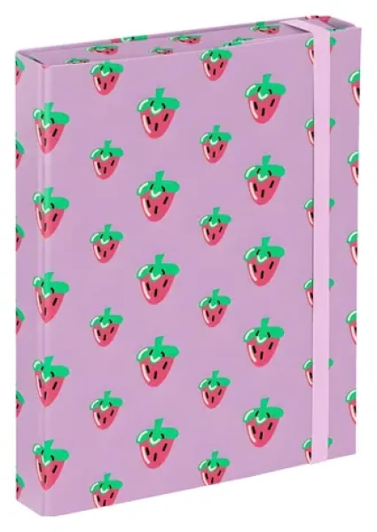 BAAGL Dosky na školské zošity A5 Lavender / Dosky na zošity / 17x23x3 cm