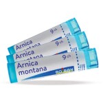 ARNICA MONTANA CH9 granule 3x4 g
