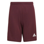 Squadra 21 Short Jr Adidas