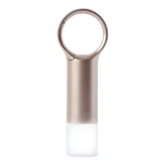 Lexon Nomaday Flash LL137D zlatá / LED kľúčenka / IPX4 / USB-C (LL137D)