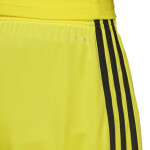 Pánske šortky Tastigo 19 DP3249 Yellow Adidas