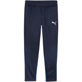 Puma Team Goal Training M nohavice 658639 06 M