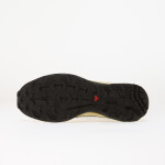 Tenisky Salomon XT-6 GTX Vanilla Ice/ Bog/ Shadow EUR 42