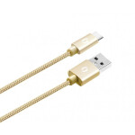 Aligator Premium Dátový kábel 2A USB-C zlatá (DATKP09)