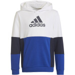 Adidas Colourblock Hoodie Jr HG6826