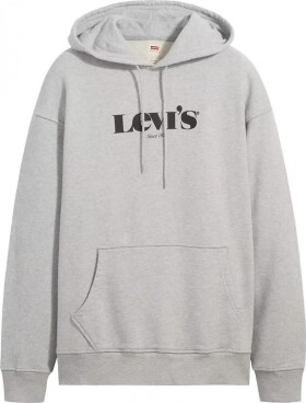 Levi's Relaxed Graphic Hoodie 38479-0040