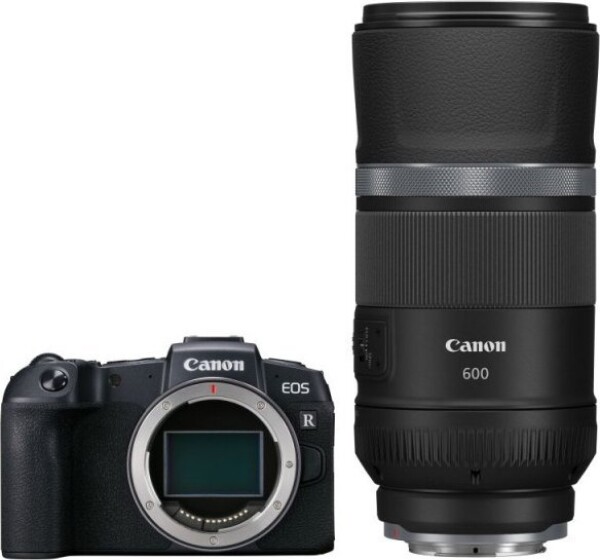 Canon EOS RP + RF 600mm f/11 IS STM