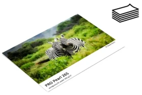Fomei PRO Pearl 265 / Fotopapier / Polomatný / A4 / 265 g/m2 / 5 listov (EY4046)
