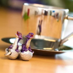 Safari Ltd. Safari Ltd. Figúrka - Liahnuce sa draky