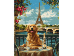 Mamido Súprava na maľovanie podľa čísel Retriever v Paríži KHO6627 40x50 AP0060