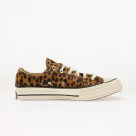Tenisky Converse Chuck 70 Brown/ Gum EUR 41