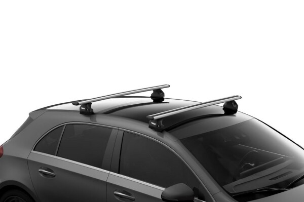Thule Evo Fixpoint 2 Pack, Halterung