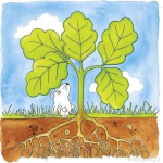 Goki Goki Strom - vývojové vrstvené puzzle