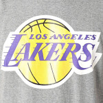 Mitchell Ness NBA Los Angeles Lakers Tričko logom tímu BMTRINTL1268-LALGYML