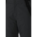 Pánské lyžařské kalhoty Whistler Drizzle Ski Pant W-Pro 10000