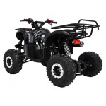 Mamido Detská benzínová štvorkolka RamiGO WILDPEAK 110CC čierna