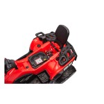 Mamido Detská elektrická štvorkolka Can-Am Outlander ATV 4x200W červená