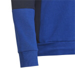 Adidas Colourblock Hoodie Jr HG6826